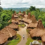 Tarung Prainjing Traditional Village, the Amazing Charm of Sumba's Cultural Heritage